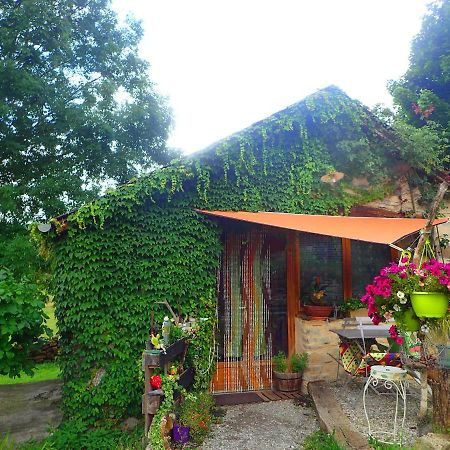 Mas de La Boheme - L'Hermet Saint-Léons Extérieur photo