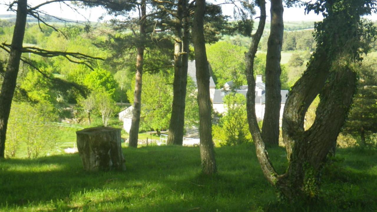 Mas de La Boheme - L'Hermet Saint-Léons Extérieur photo