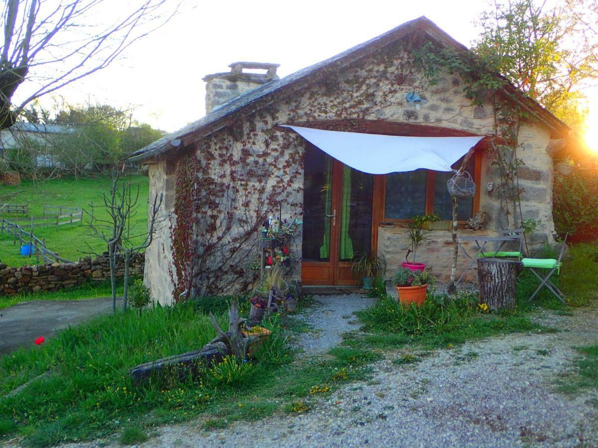 Mas de La Boheme - L'Hermet Saint-Léons Extérieur photo